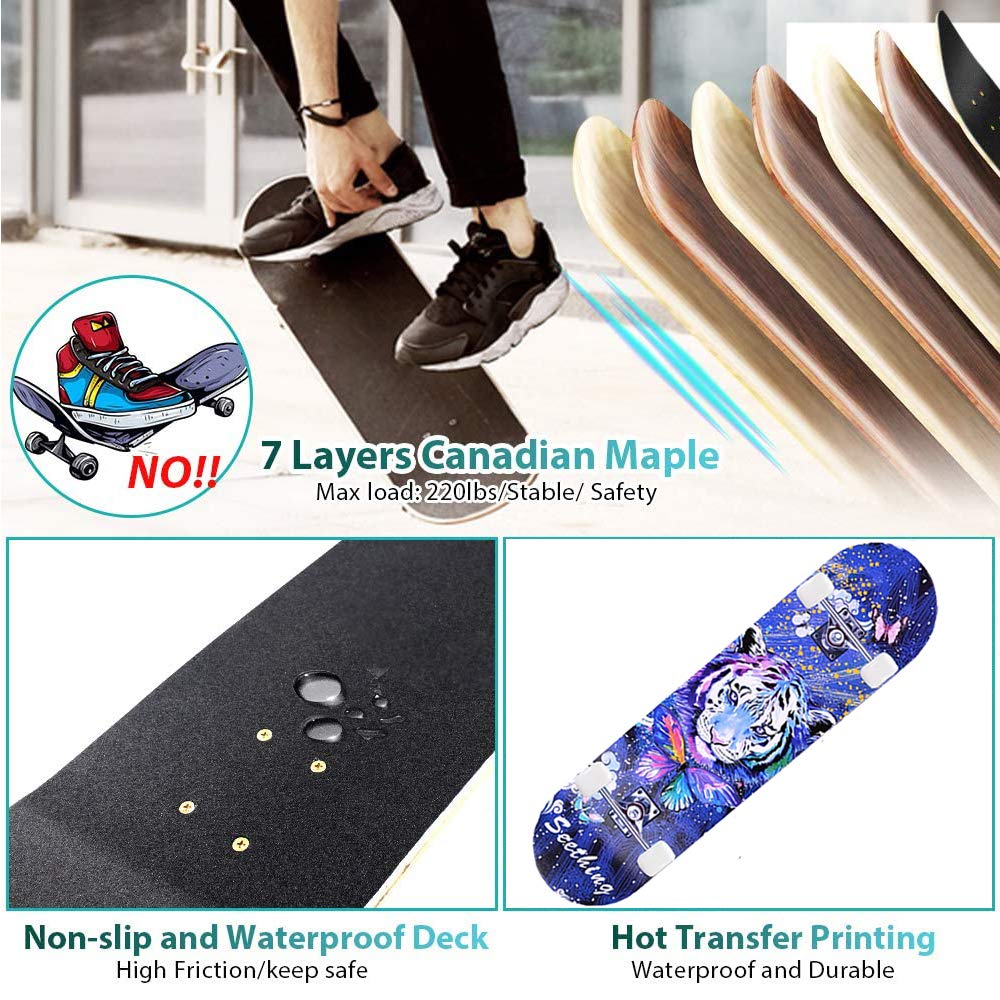 Skateboard 31x8 Zoll 7-lagiges Ahornholz komplett montiert für Anfänger - Bild 6