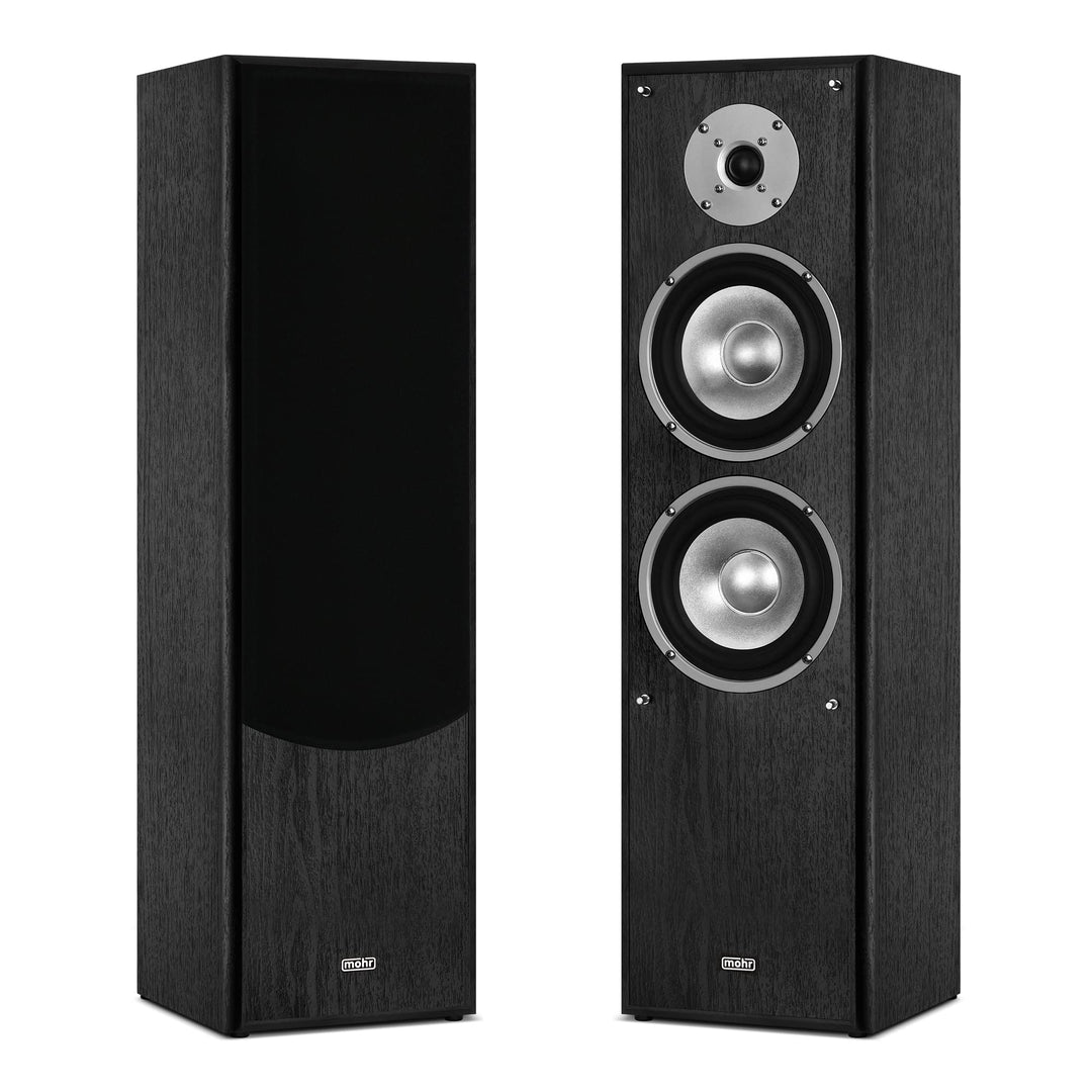 Standlautsprecher 2-Wege HiFi Paar 38Hz–21kHz Bassreflex schwarz