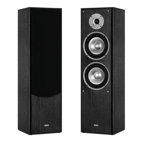 Standlautsprecher 2-Wege HiFi Paar 38Hz–21kHz Bassreflex schwarz