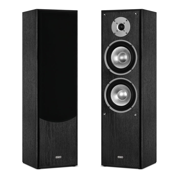 Standlautsprecher 2-Wege HiFi Paar 38Hz–21kHz Bassreflex schwarz