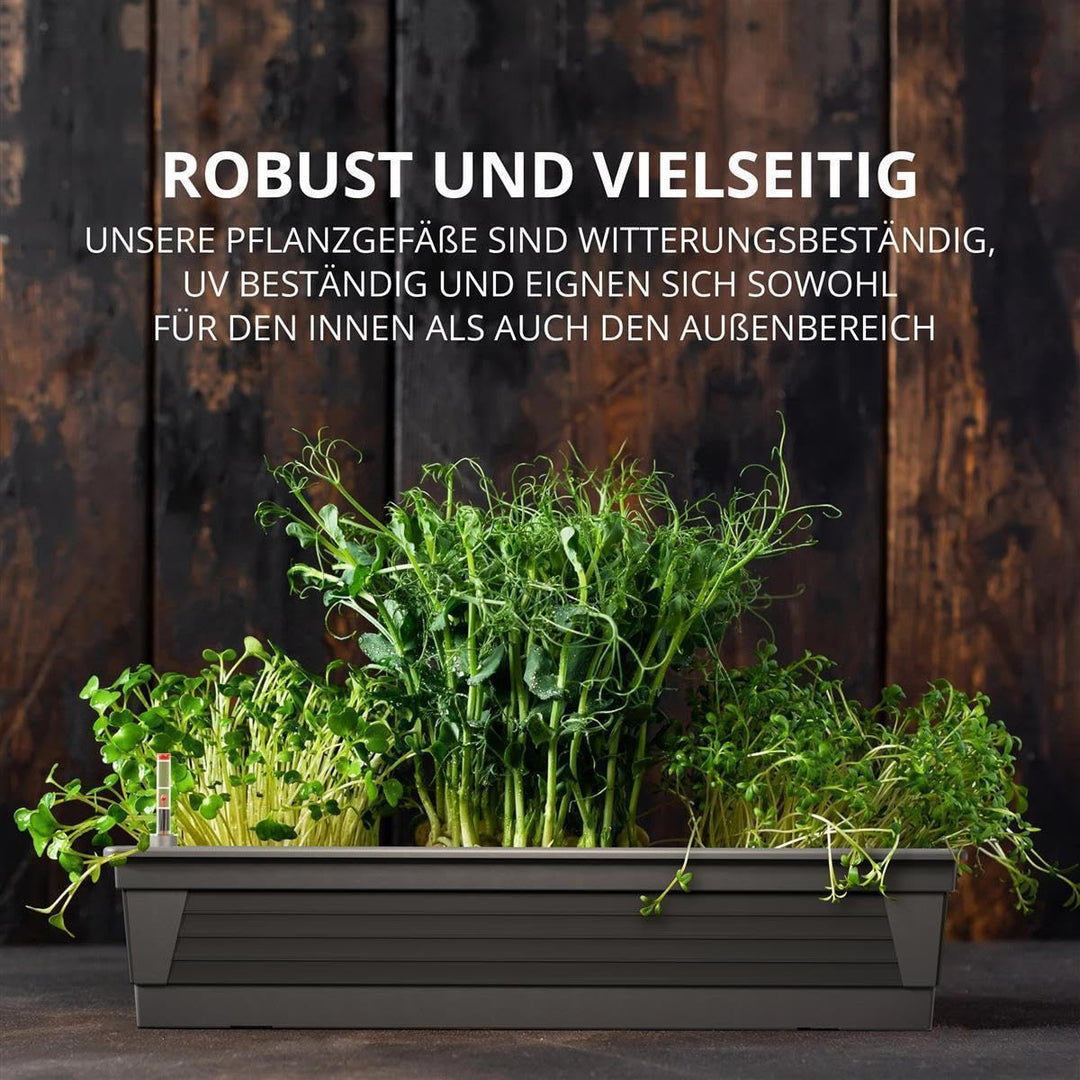 Blumenkasten 3er-Set 100x21x17 cm Anthrazit mit Bewässerungssystem - Bild 6