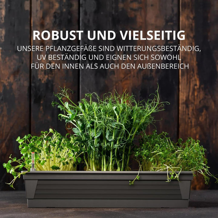 Blumenkasten 3er-Set 100x21x17 cm Anthrazit mit Bewässerungssystem - Bild 6