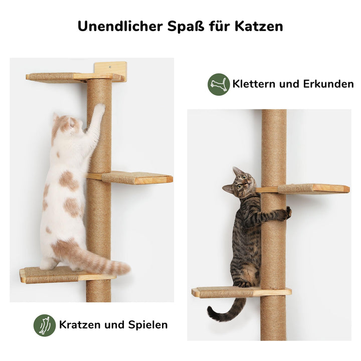 Katzenbaum Deckenhoch 206 cm Gummibaumholz Wandmontage 5 Etagen - Bild 5