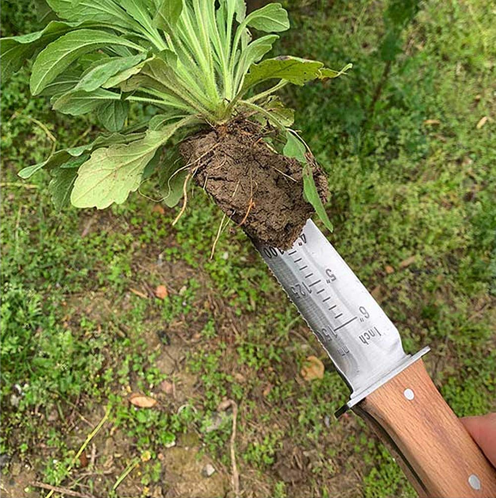 Hori-Hori Gartenmesser Edelstahl zweischneidig mit Tiefenmarkierung - Bild 7