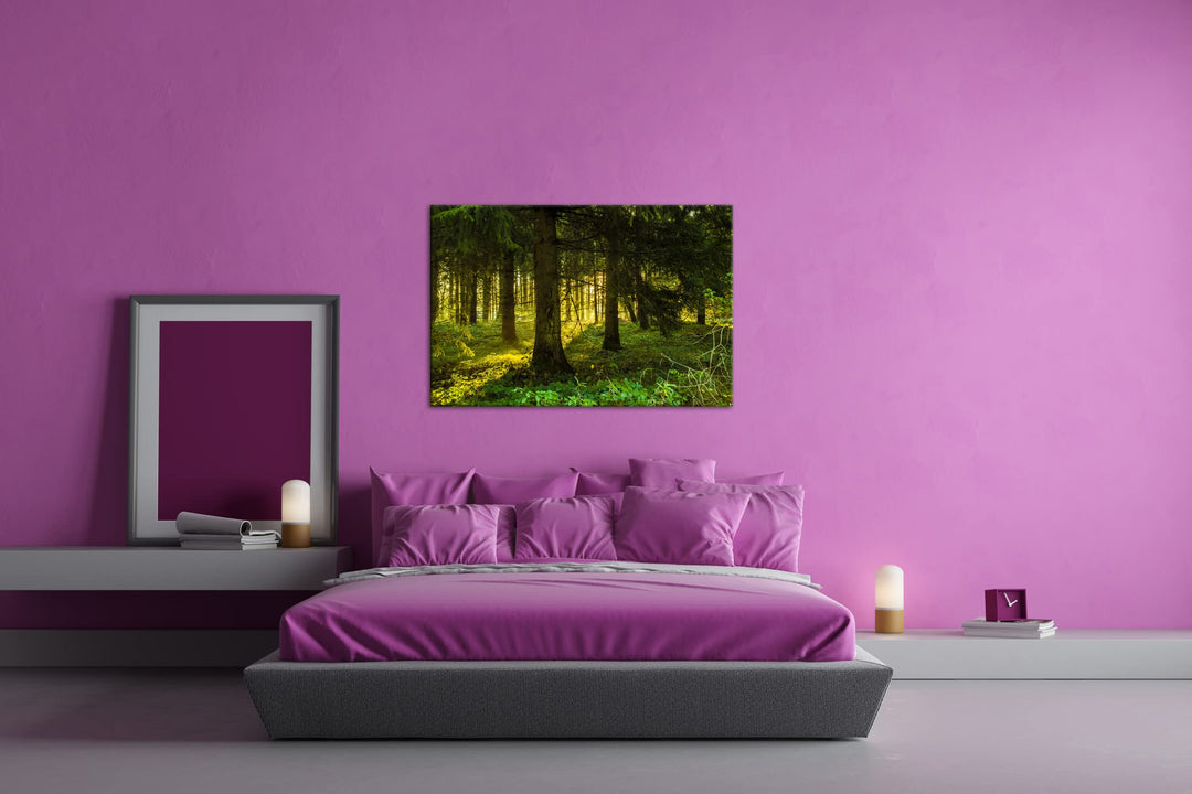 Leinwandbild Waldlichtung 80x60 cm auf Echtholzrahmen - Bild 3
