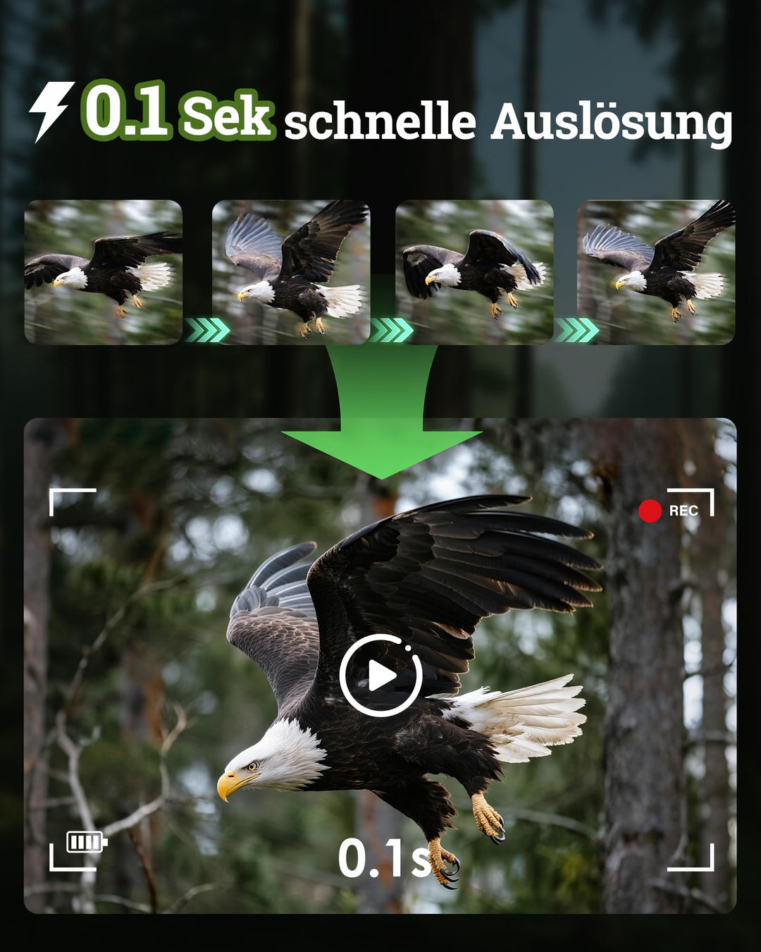 Wildkamera Solar 4K 64MP WLAN App-Steuerung Nachtsicht 6000mAh - Bild 9