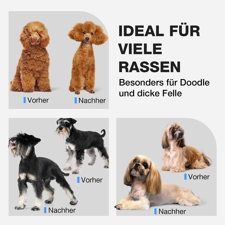 Hundeschermaschine leise 55dB Keramikklinge USB-C für dickes Fell - Bild 7