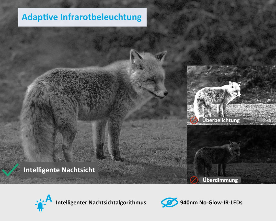 4G LTE Wildkamera 48MP 1296P No-Glow Nachtsicht mit SIM-Karte - Bild 6