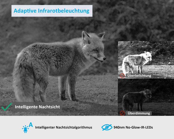 4G LTE Wildkamera 48MP 1296P No-Glow Nachtsicht mit SIM-Karte - Bild 6