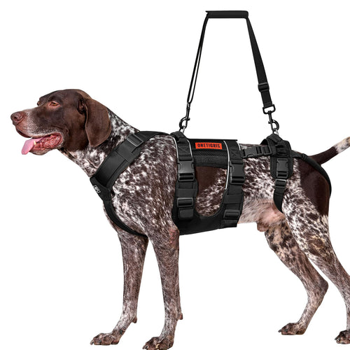 Hundegeschirr Hebegeschirr 2 Griffe Rehabilitation Grosse Hunde