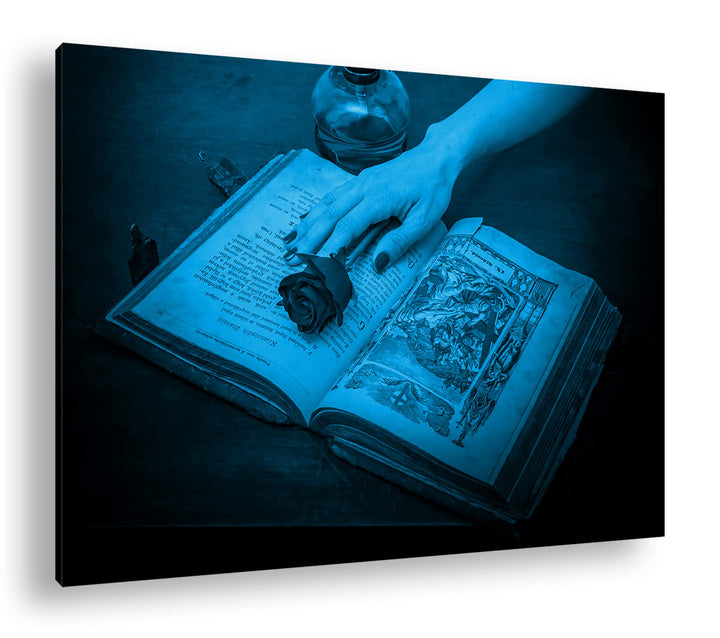Leinwandbild Rote Rose auf Buch Monochrom Blau 80x60 cm