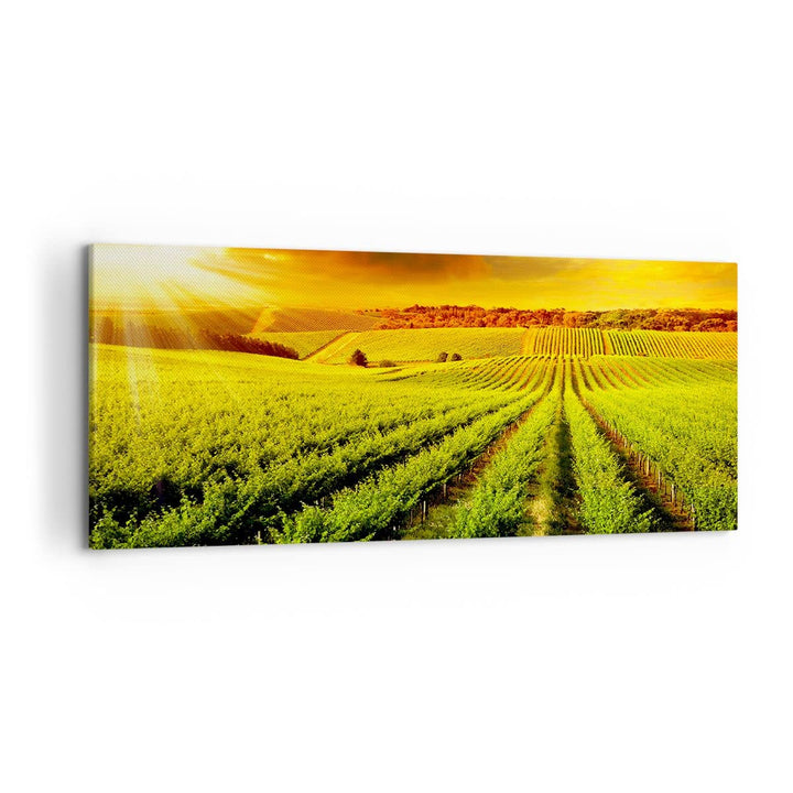 Leinwandbild Landschaft Natur 120x50cm aufhängefertig