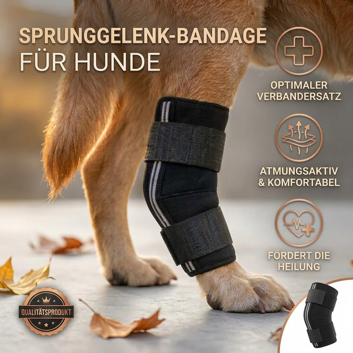 Sprunggelenk Schutzbandage Hund Neopren Hinterbein 135° Winkel XXS - Bild 6