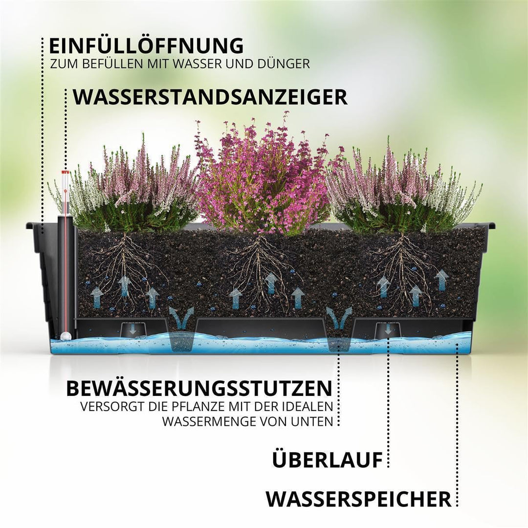 Blumenkasten 3er-Set 100x21x17 cm Anthrazit mit Bewässerungssystem - Bild 4