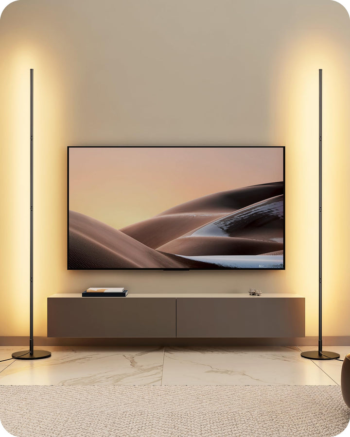 Stehlampe 2er-Set dimmbar höhenverstellbar Schwarz Metall