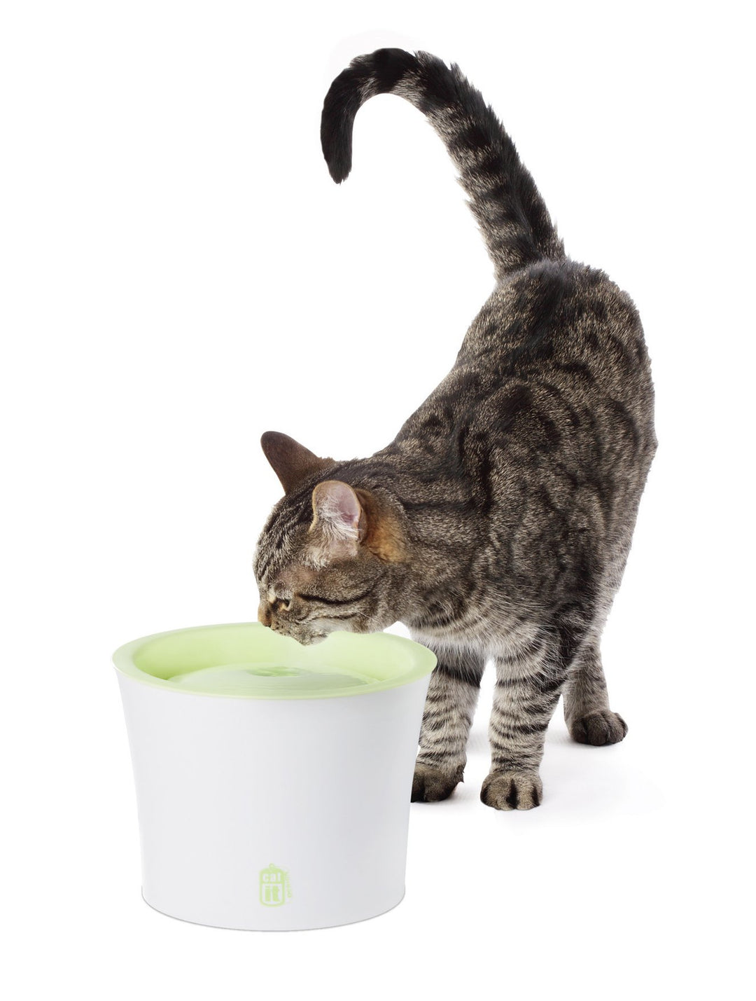 Katzen-Trinkbrunnen mit Doppelfilter 3 Liter grün/weiss - Bild 3
