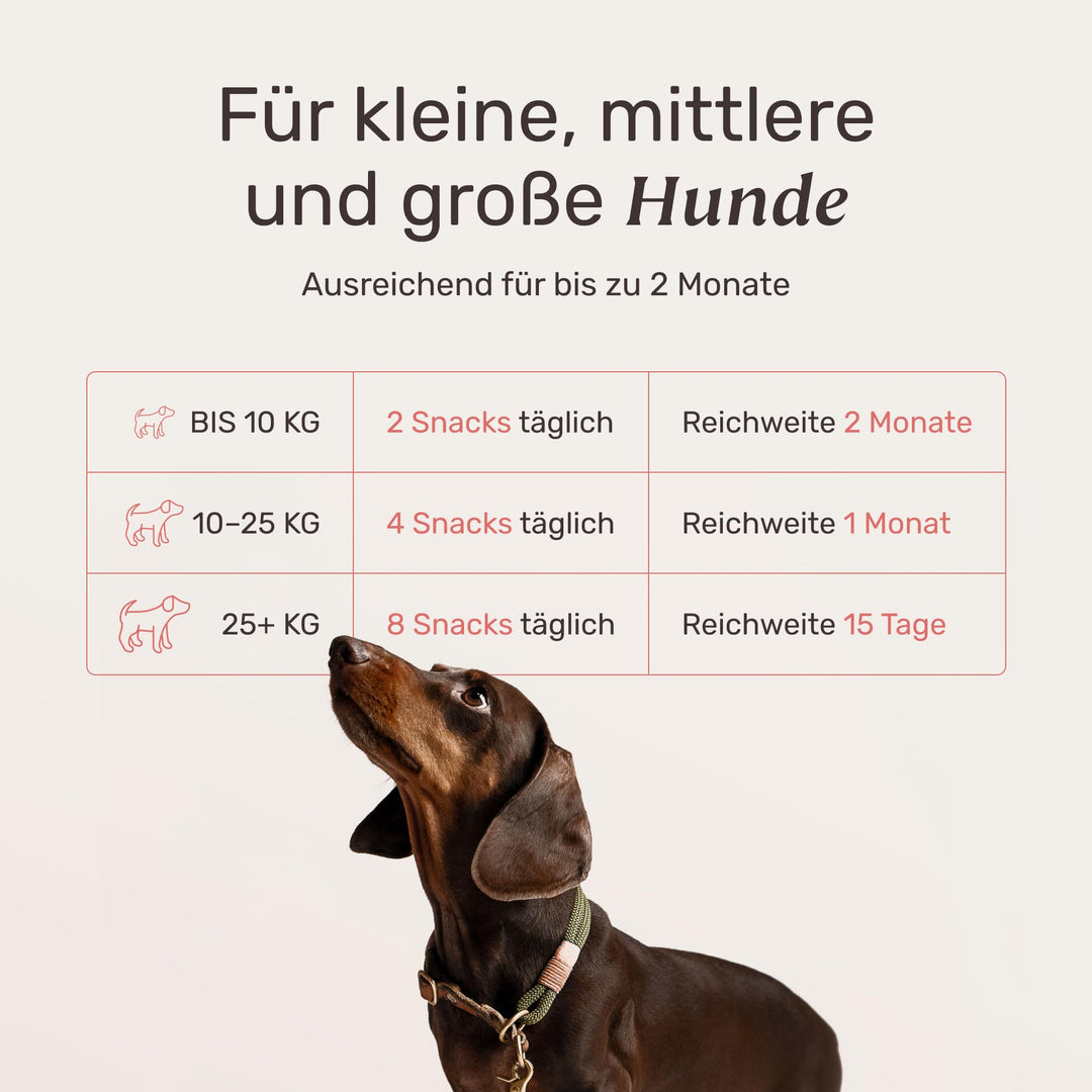Fellpflege-Snacks Hund mit Nachtkerzenöl, Biotin &amp; Bierhefe 60 Tage - Bild 4