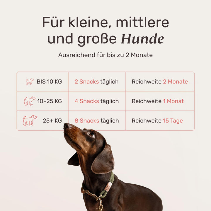 Fellpflege-Snacks Hund mit Nachtkerzenöl, Biotin &amp; Bierhefe 60 Tage - Bild 4