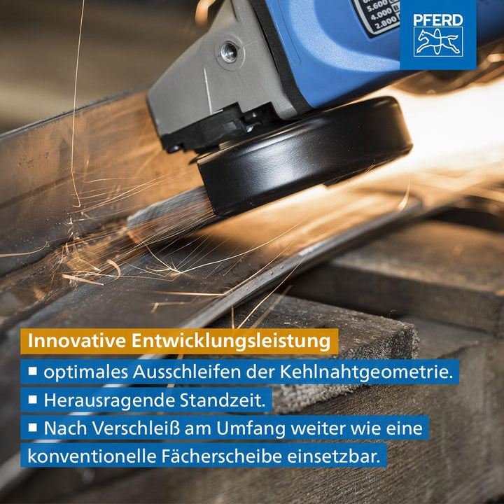 Fächerscheibe Kehlnaht Zirkonkorund Ø125mm Z40 2er-Set - Bild 9