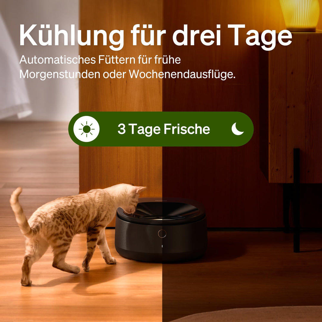 Nassfutter-Futterautomat mit Halbleiterkühlung WLAN 3 Kammern - Bild 2