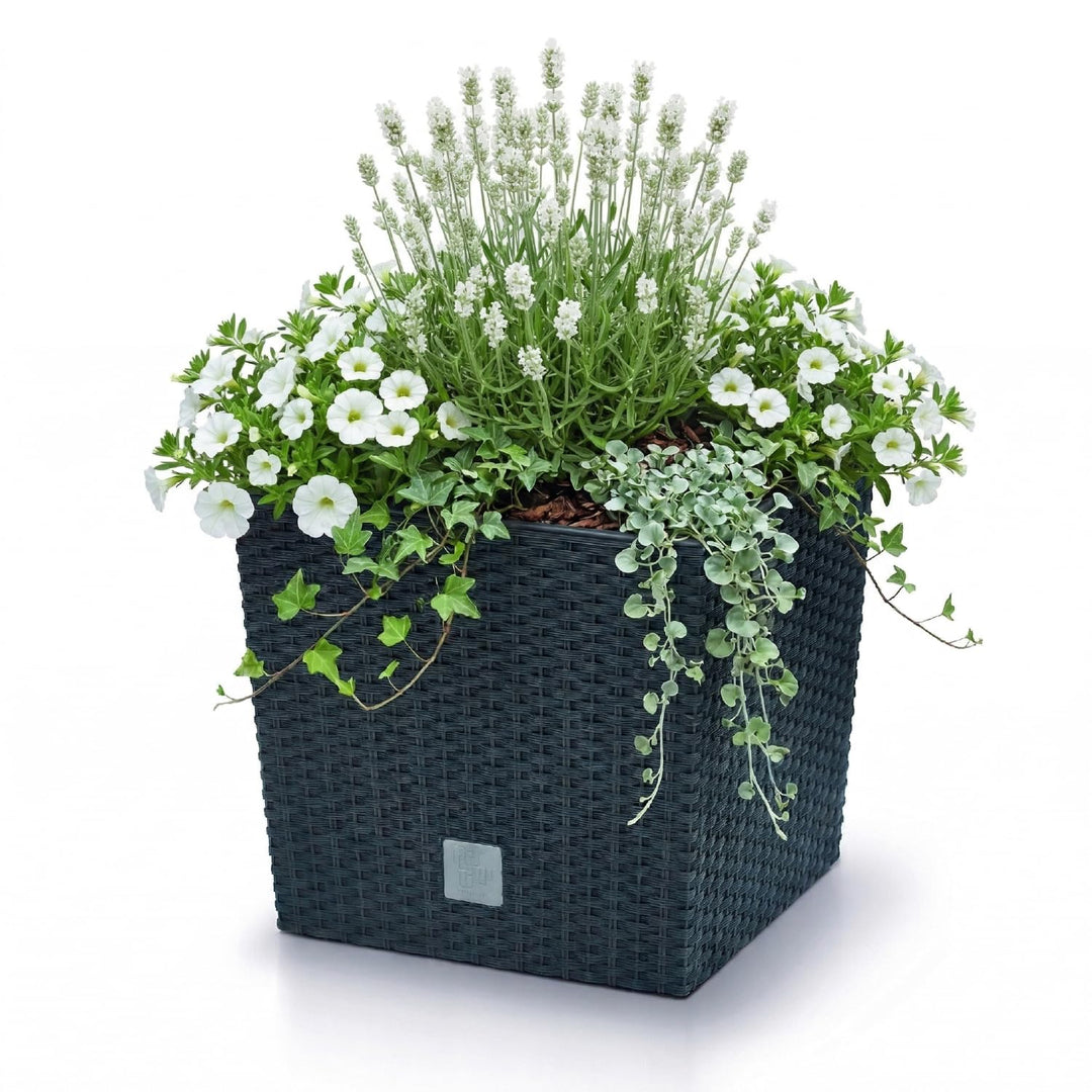 Pflanzkübel Rattan-Optik Kunststoff 40x40x40 cm anthrazit Innen/Aussen