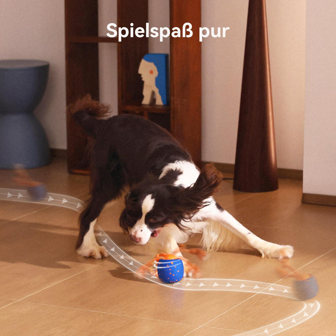 Interaktiver Hundeball mit Seil und Bellgeräusch 3 Modi USB-C - Bild 8