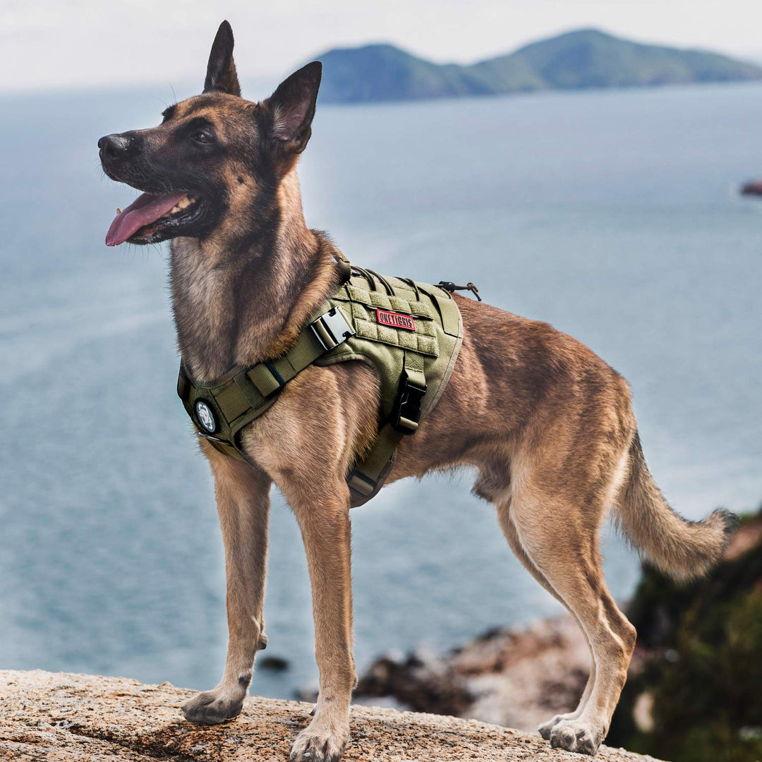 Taktisches Hundegeschirr MOLLE 1000D Nylon Grösse M Ranger Grün - Bild 5