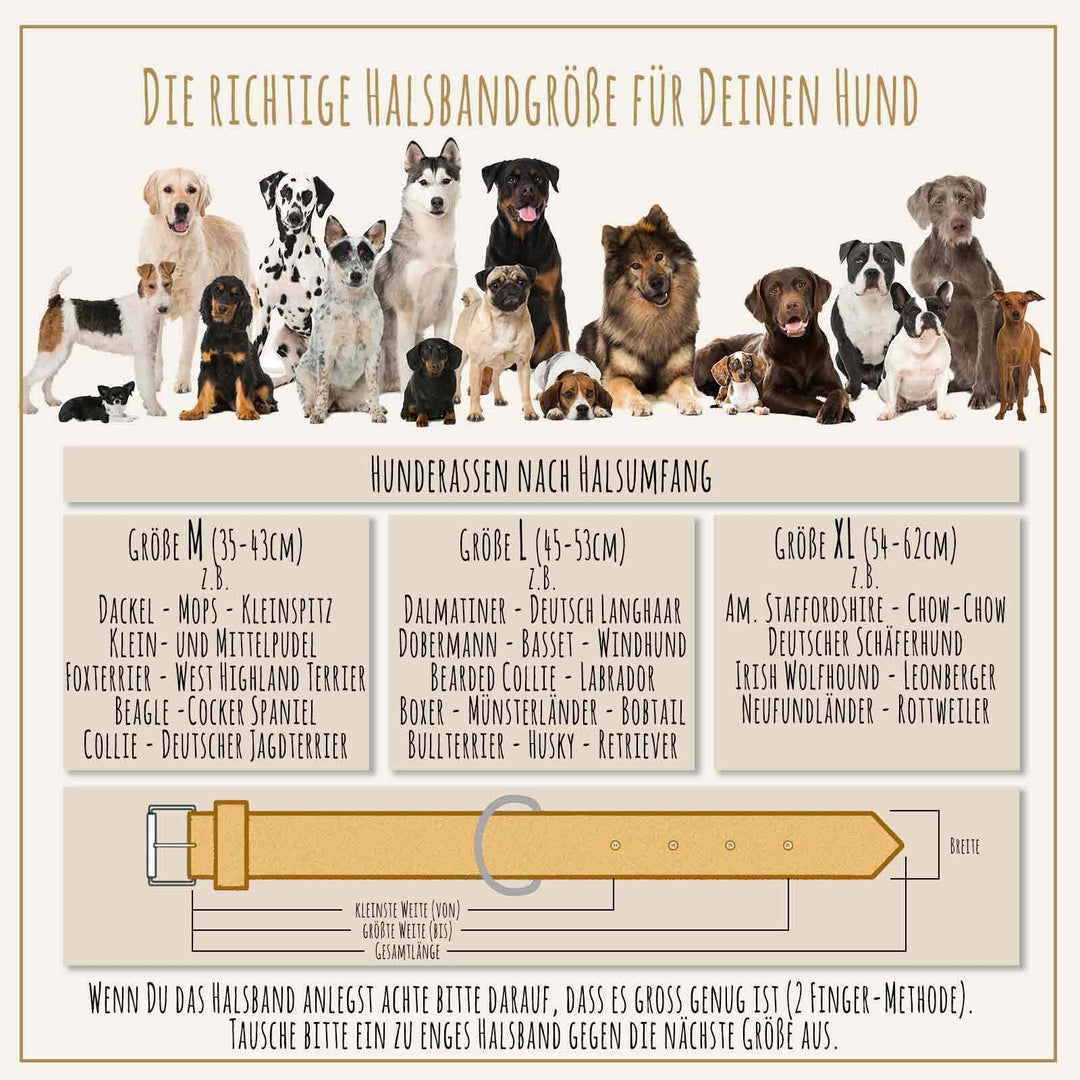 Hundehalsband Echtleder geflochten 30mm breit XL 47-58 cm - Bild 7