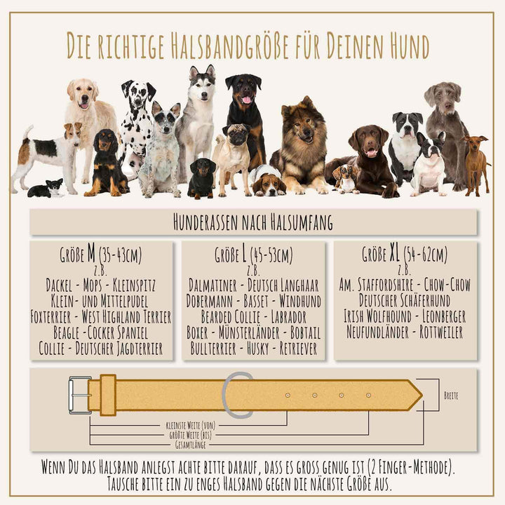 Hundehalsband Echtleder geflochten 30mm breit XL 47-58 cm - Bild 7