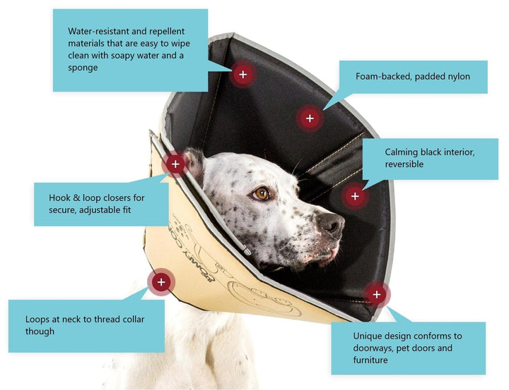 Halskrause Hund Katze weich gepolstert wasserfest wendbar Small - Bild 4