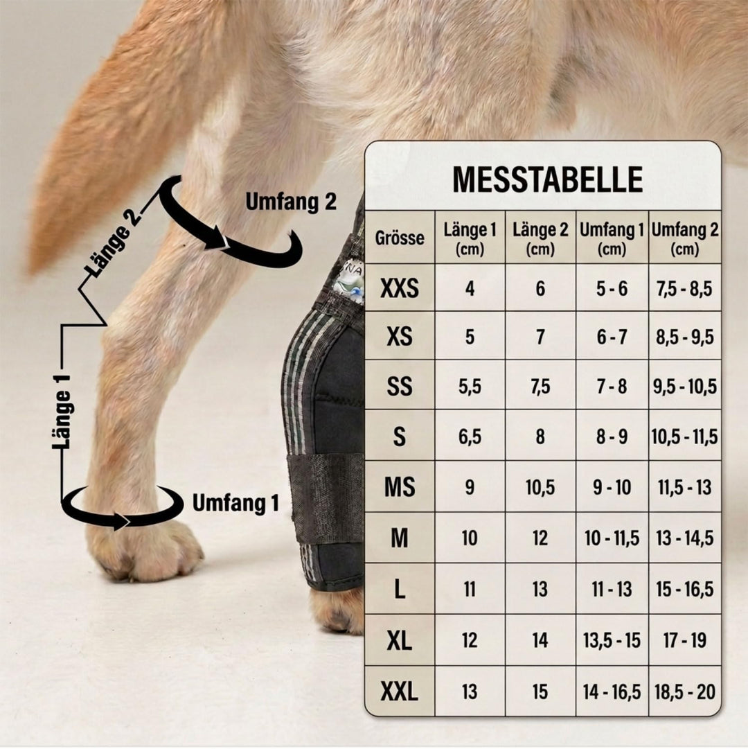 Sprunggelenk Schutzbandage Hund Neopren Hinterbein 135° Winkel XXS - Bild 4