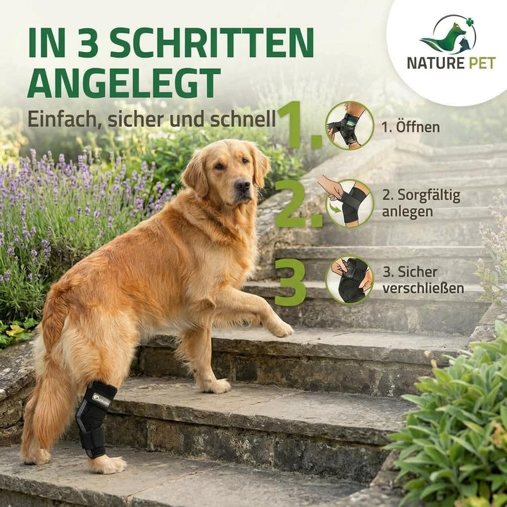Sprunggelenk Schutzbandage Hund Neopren Hinterbein 135° Winkel XXS - Bild 9