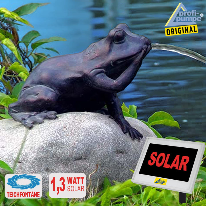 Solar Teichpumpe Frosch-Figur Polyresin Wasserspiel Set mit Solarmodul - Bild 2