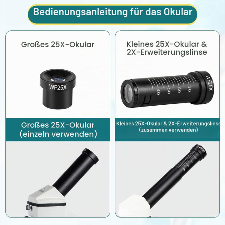 Lichtmikroskop 2000x mit LED-Beleuchtung, XY-Lineal und 10 Präparaten - Bild 6