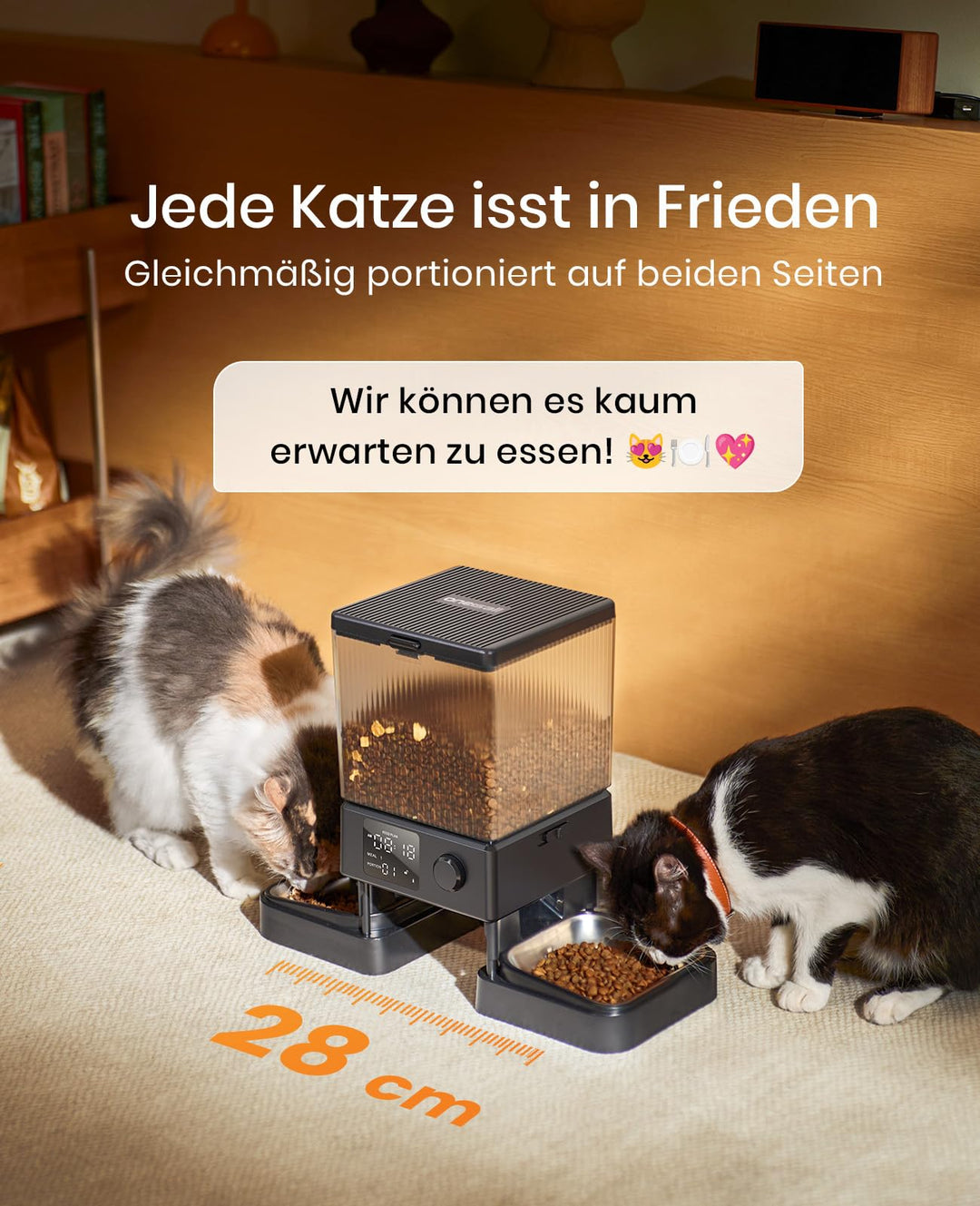 Futterautomat 2 Katzen 5L Trockenfutter mit Sprachaufzeichnung - Bild 3