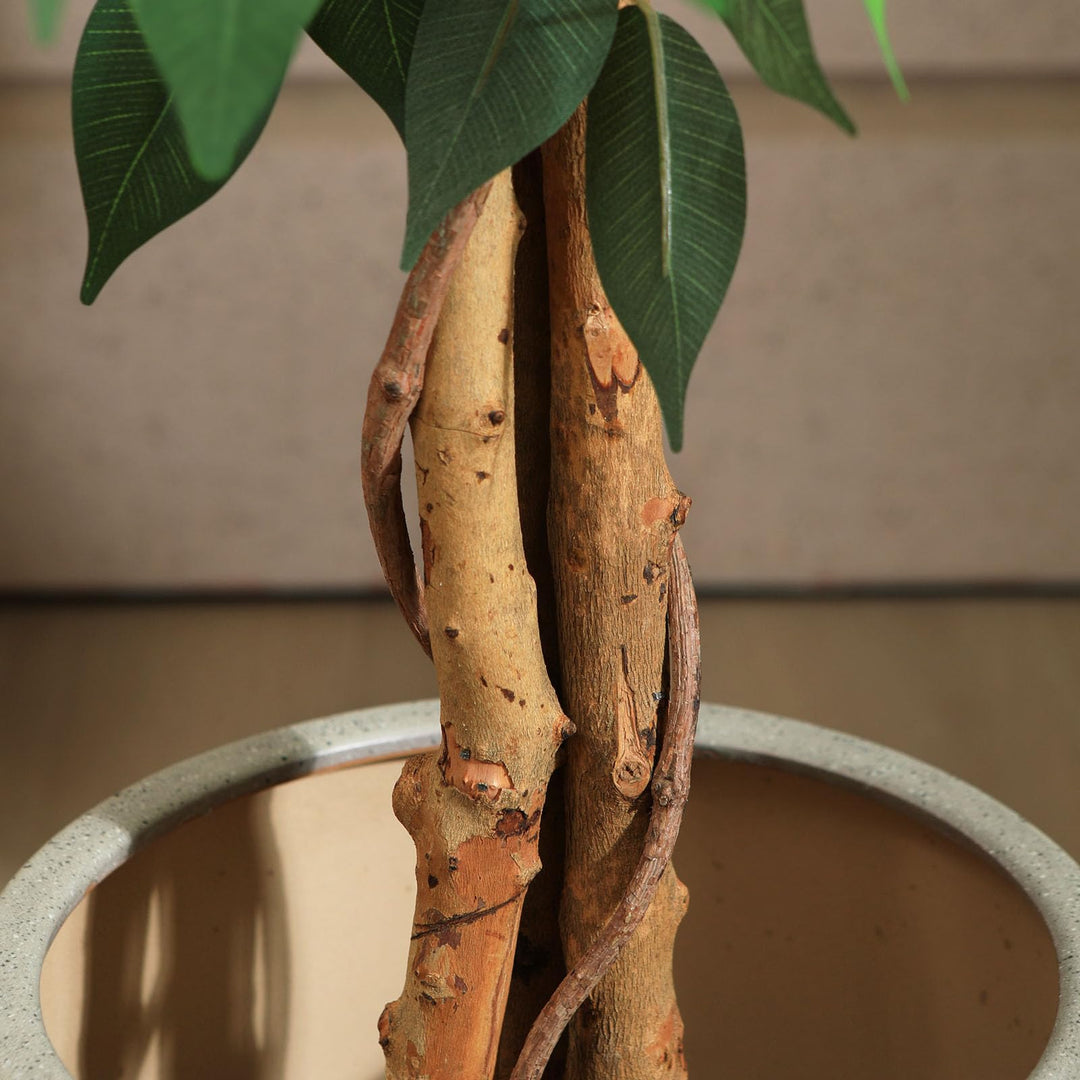 Kunstpflanze Ficusbaum 120 cm mit Naturholzstamm für Innen - Bild 5