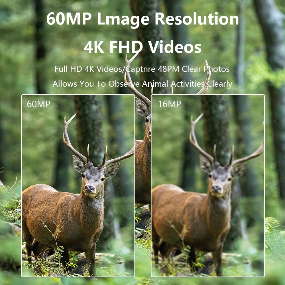 Wildkamera 60 MP 4K mit Nachtsicht 120° Erfassungswinkel IP66