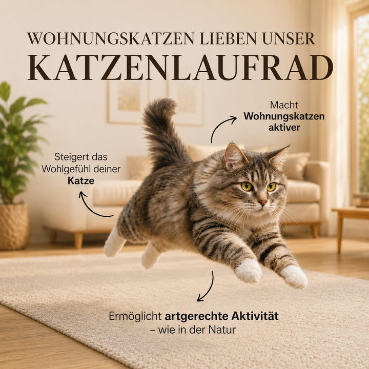 Katzenlaufrad XXL 132 cm Holz mit Teppich Weiss/Grau - Bild 3