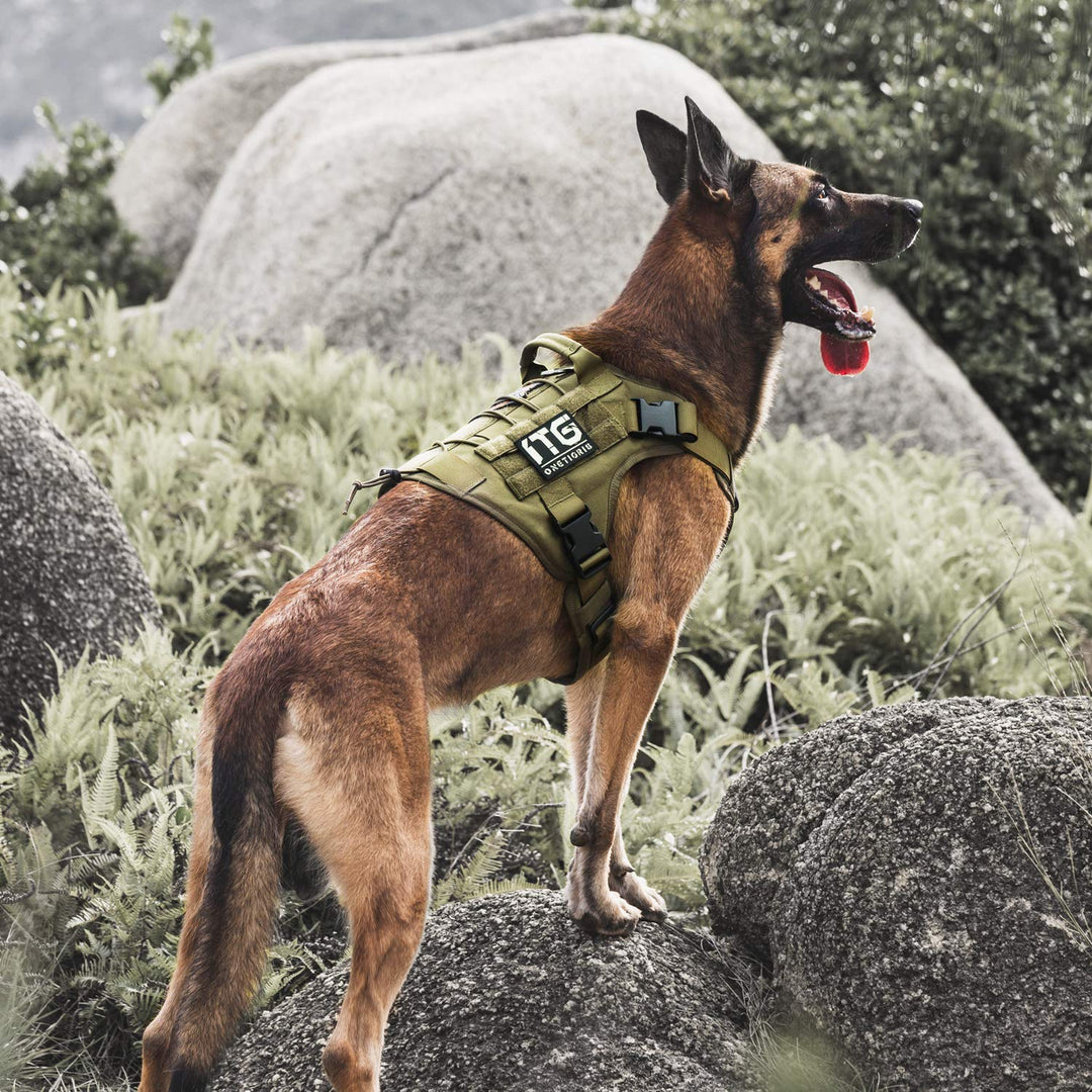Taktisches Hundegeschirr MOLLE 1000D Nylon Grösse M Ranger Grün - Bild 6
