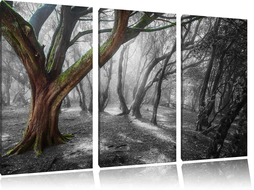 Leinwandbild 3-teilig Einsamer Baum Schwarz-Weiss 120x80 cm