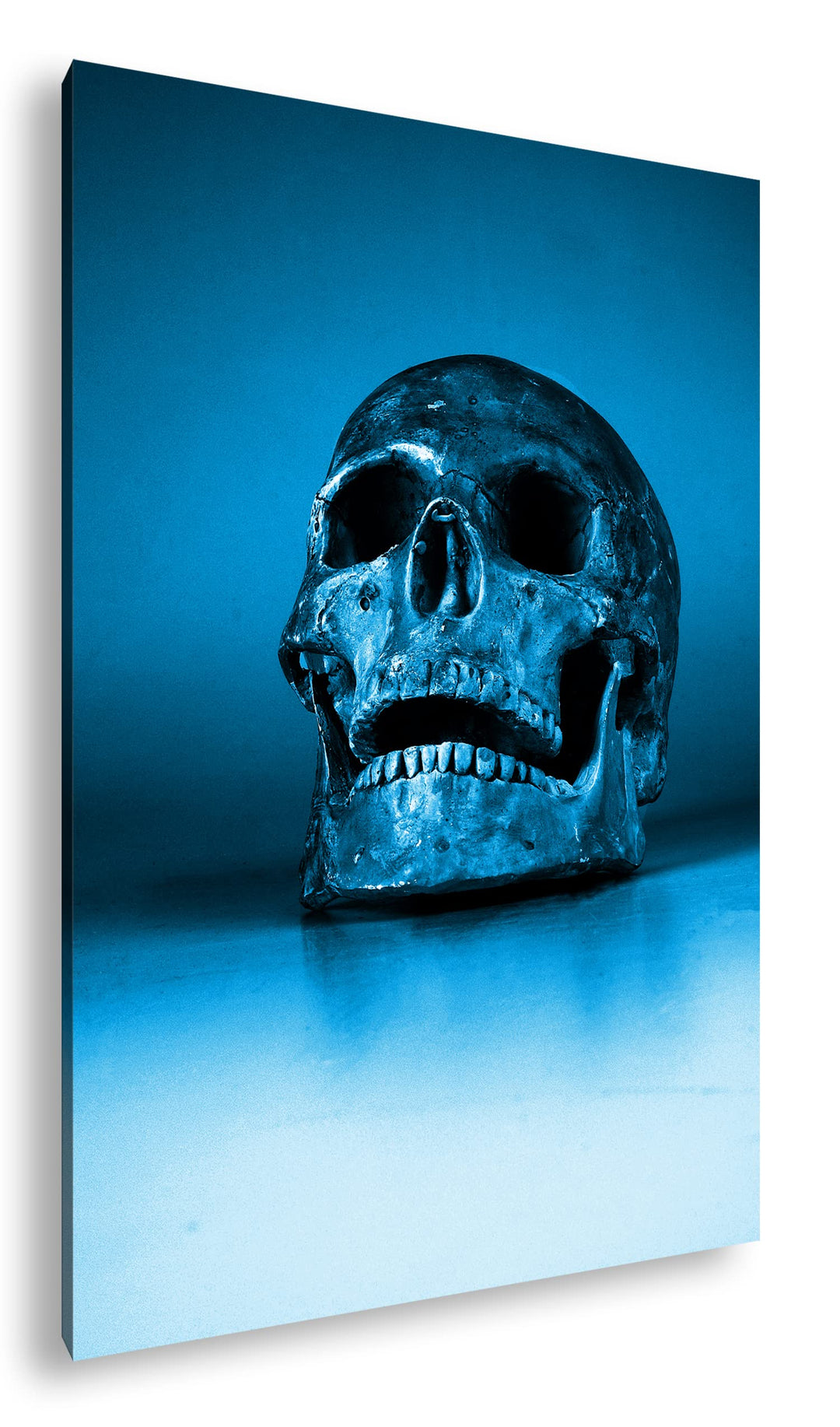 Leinwandbild Totenkopf Monochrom Blau 80x60 cm Echtholzrahmen
