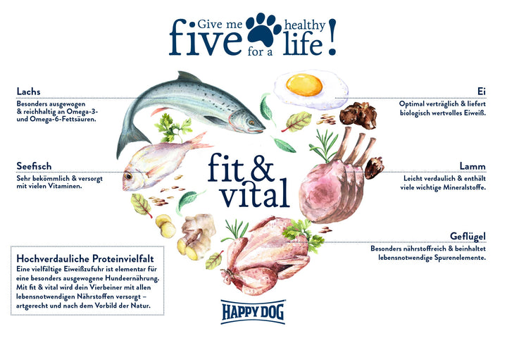 Hundetrockenfutter mittelgrosse Hunde weizenfreiOmega-3 12 kg - Bild 3