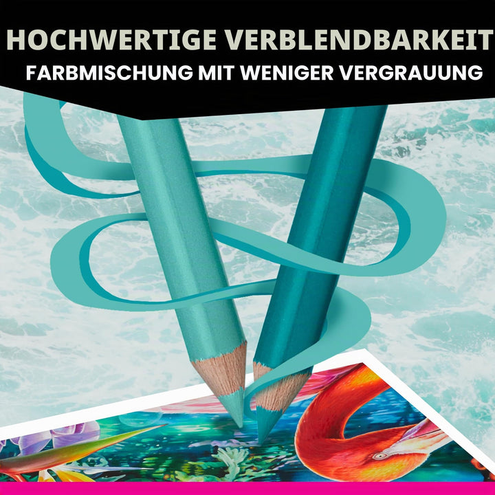 Buntstifte Botanischer Garten 12er-Set mit Aufbewahrungsdose - Bild 5
