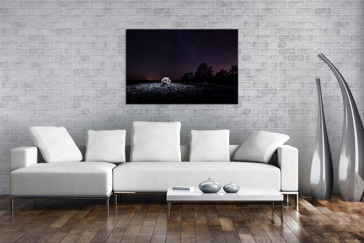 Leinwandbild Schädel Sternenhimmel XXL Kunstdruck 80x60 cm - Bild 2