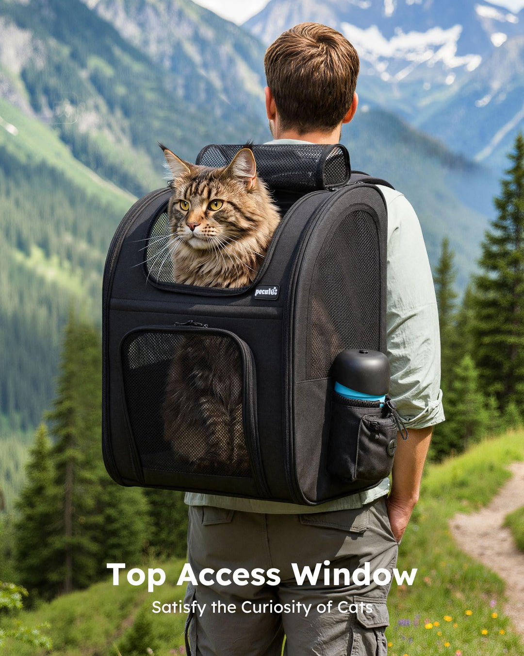 Haustier-Rucksack XL Oxford faltbar mit 4-seitigem Netz für Katzen &amp; Hunde - Bild 3