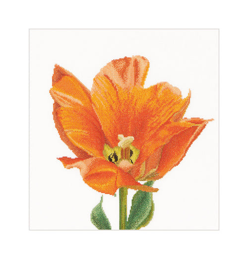 Kreuzstich-Set Triumph-Tulpe Orange Leinen 32 Count 34x36 cm