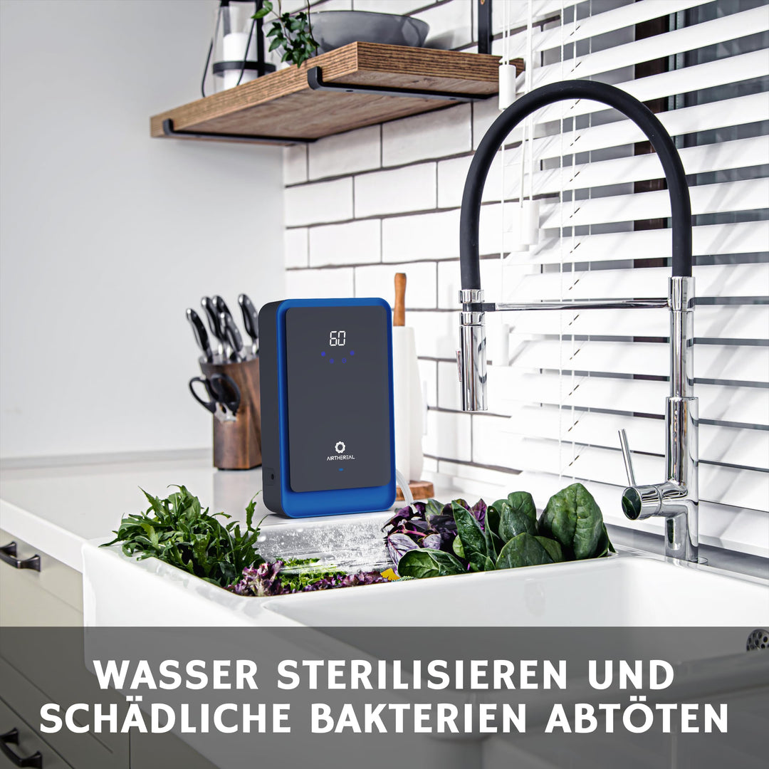 Ozongenerator 2-in-1 Wasser &amp; Luft 1000 mg/h mit Ionenmodus - Bild 4