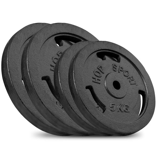 Gusseisen Hantelscheiben Set 30 kg (2x5kg, 2x10kg) 31mm Bohrung