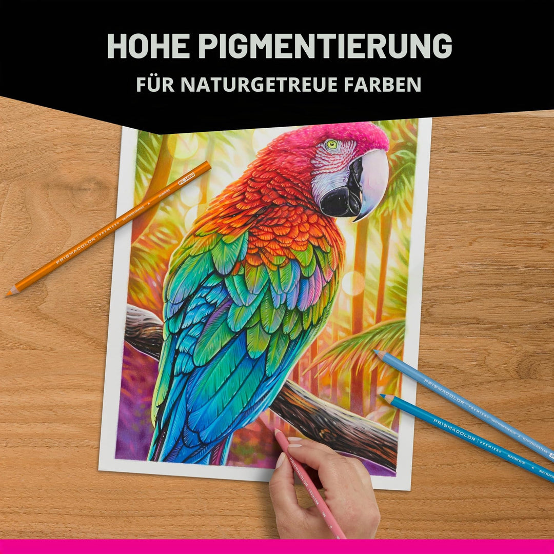 Buntstifte Botanischer Garten 12er-Set mit Aufbewahrungsdose - Bild 6