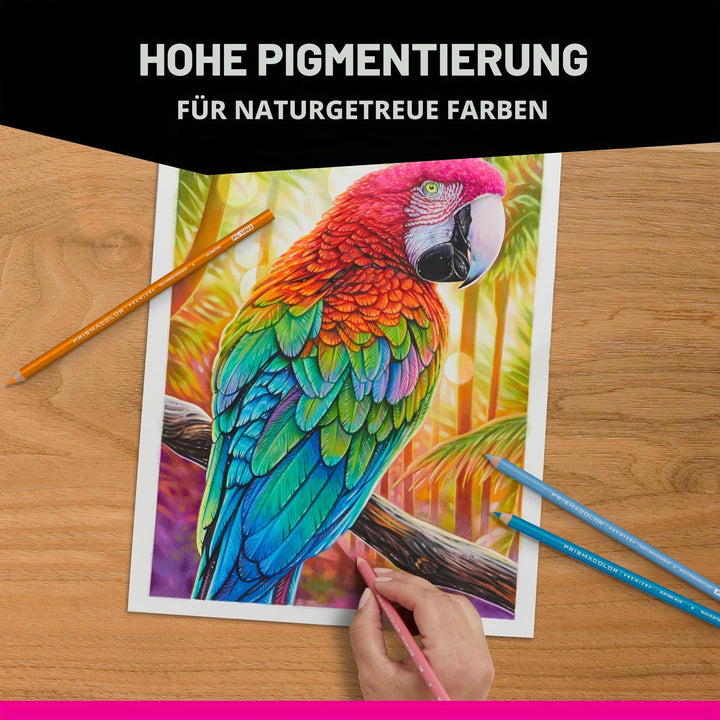 Buntstifte Botanischer Garten 12er-Set mit Aufbewahrungsdose - Bild 6